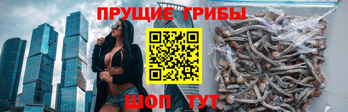 Псилоцибиновые грибы Magic Shrooms  Вход с VPN  Петровск  Псилоцибиновые грибы Magic Shrooms 